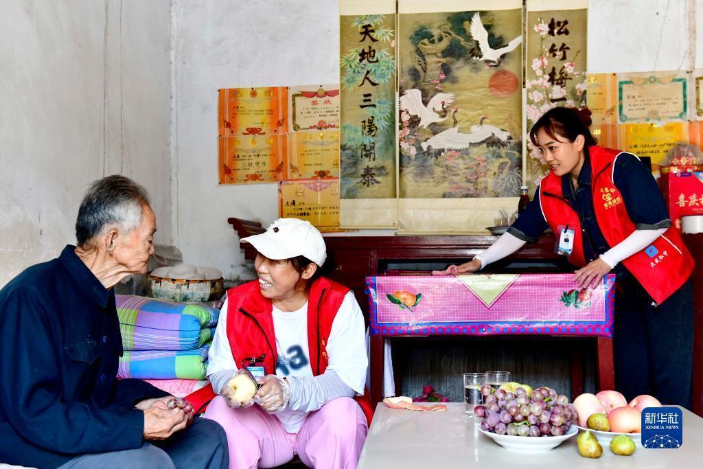 伯爵网站检测路线